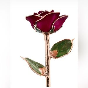 Steven Singer 24k gold dipped rose